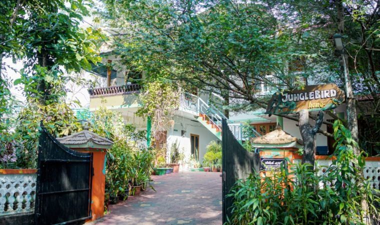 The gate and garden path at Jungle Bird