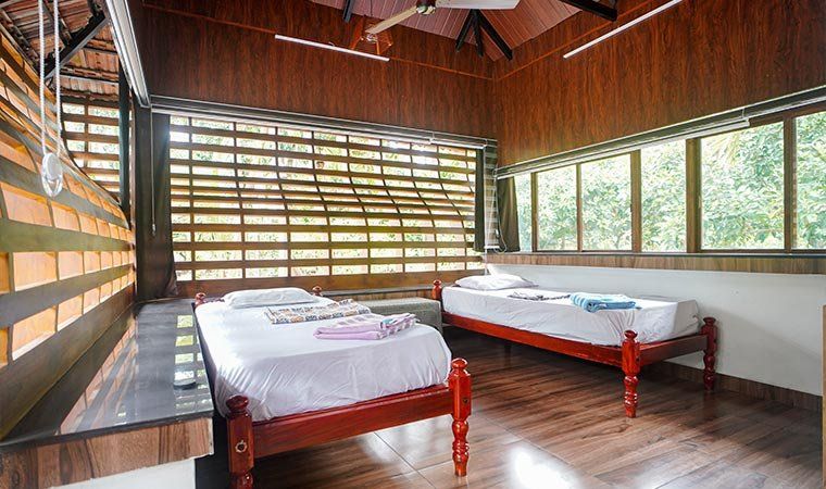 A timber-panelled room with a long wall of windows