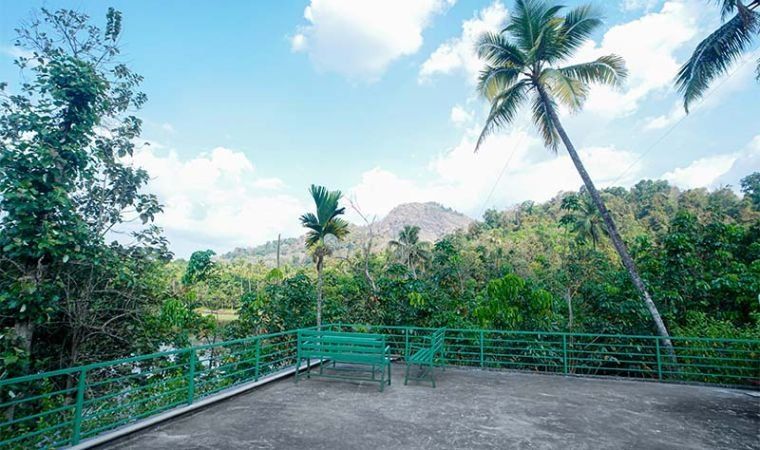 The view from the terrace over the forest canopy to the hills